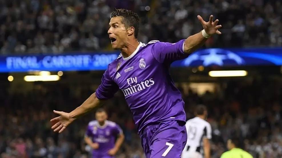 调节和体能 调节和体能